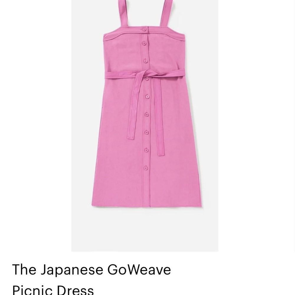 Everlane Dress